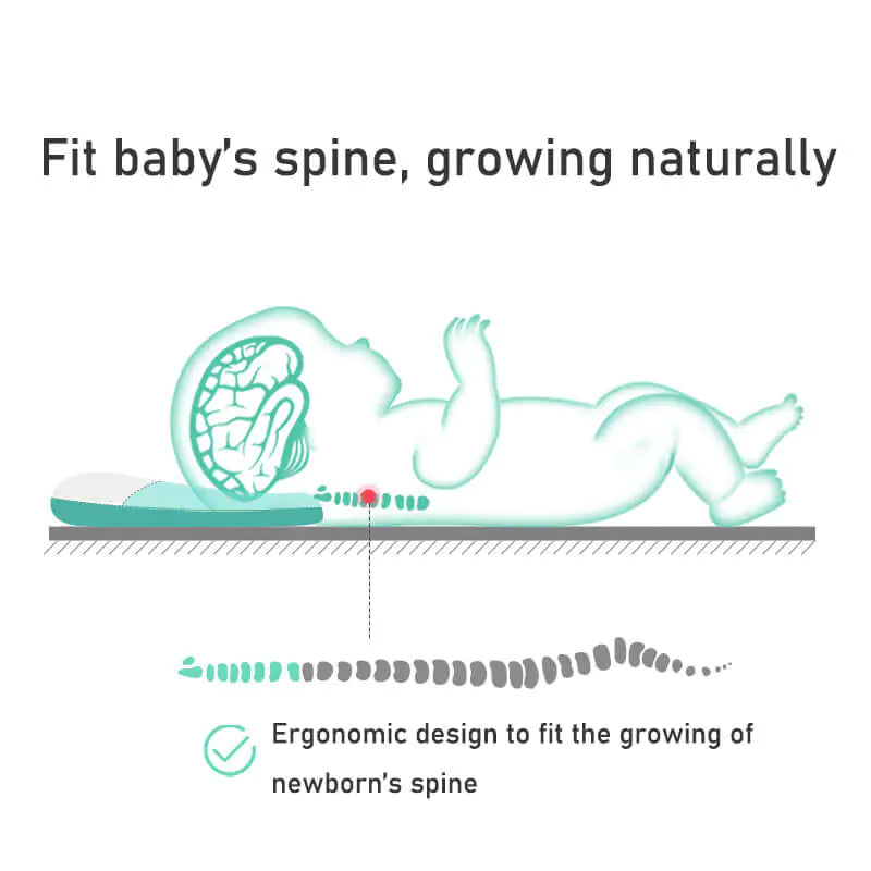 Adjustable Latex Baby Nursing Pillow for Newborns